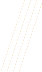 gold stripes_trans_clipped_rev_1